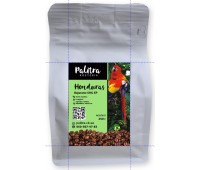 Honduras Bejarano SHG EP Honduras Bejarano SHG EP
